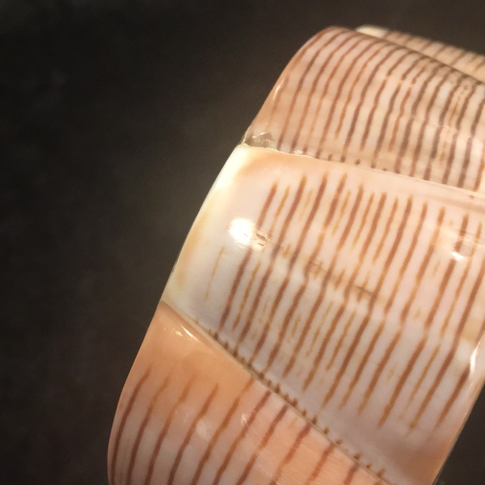 seashell bangle - Picture 2 of 2